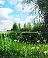Репин Д. Лето. В тени берез.