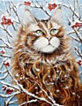 Кудрина С. Суровый сибирский кошак
