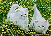 Мирошко Т. Раз -  котенок, два - котенок