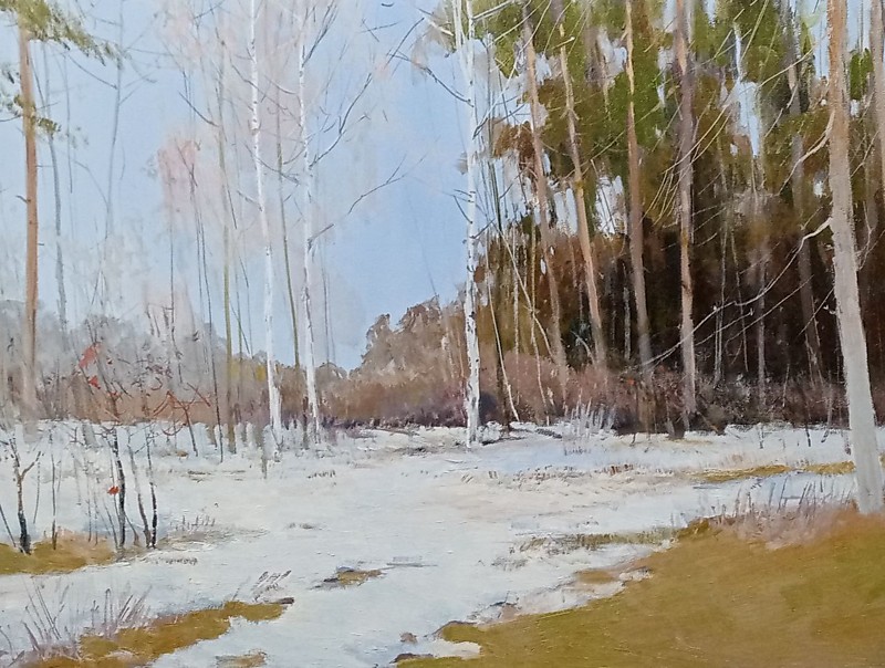 Сердюк А. Первый снег