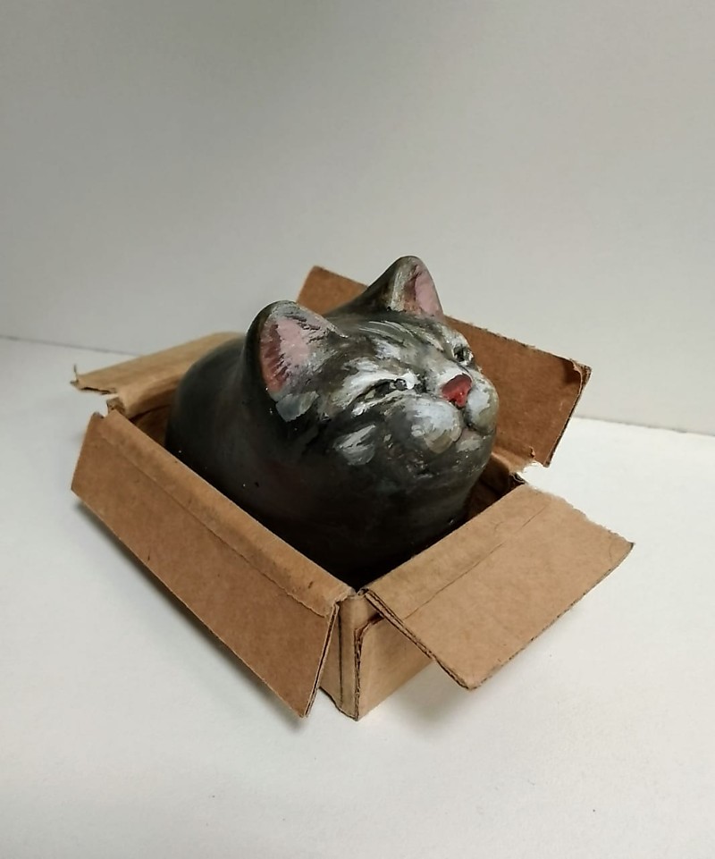 Пачин А. Кот в коробке